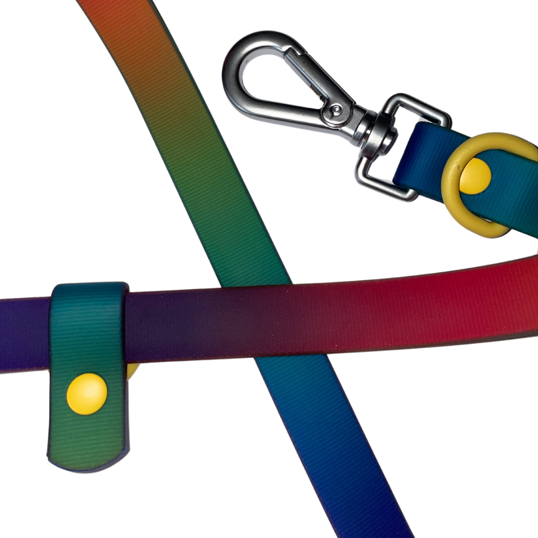 BOXD FOR PETS Multifunctional Waterproof Lead