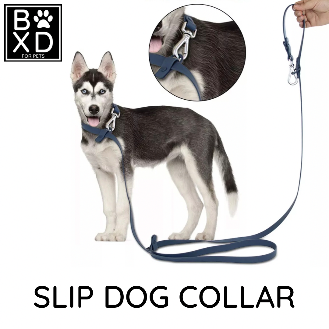BOXD FOR PETS Multifunctional Waterproof Lead