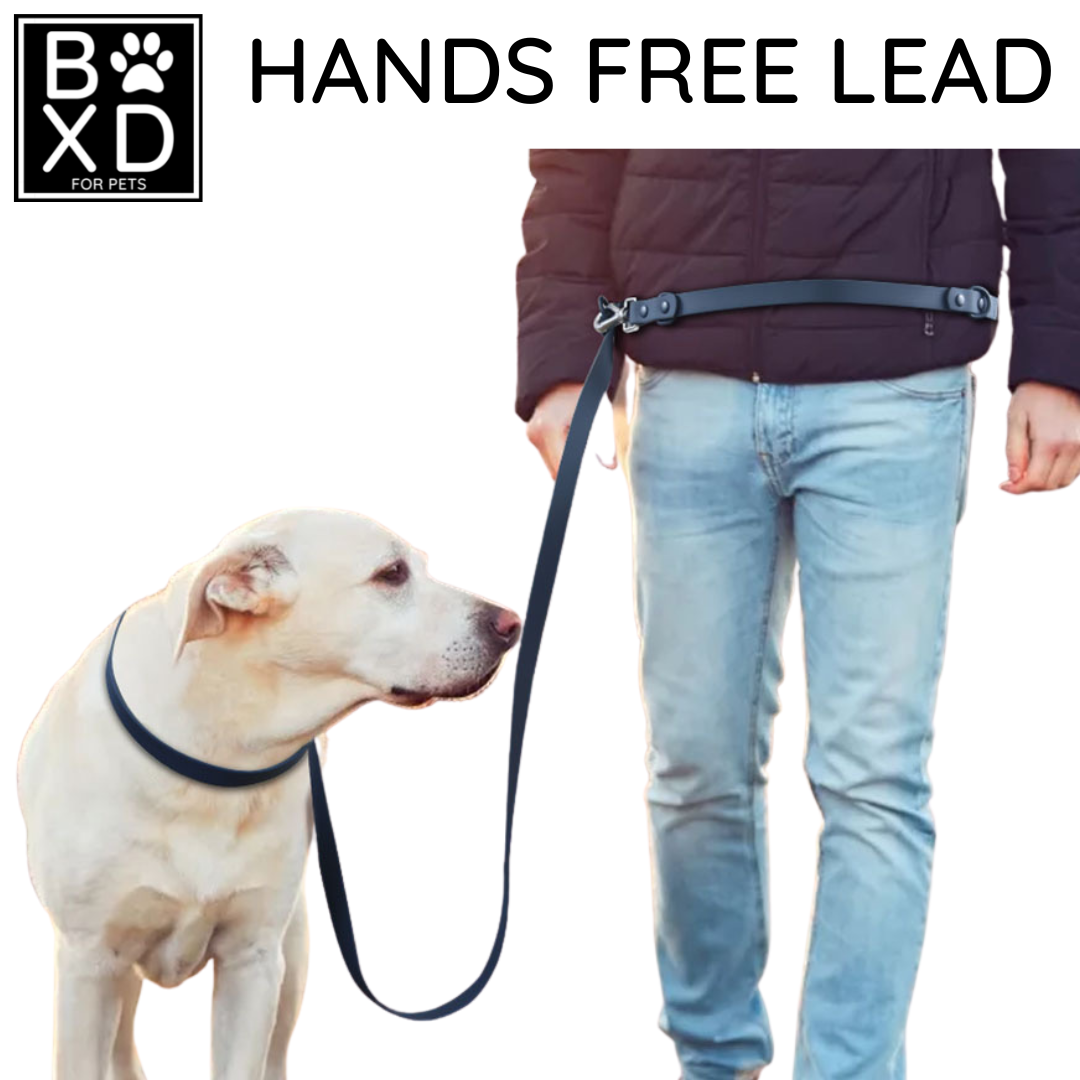 BOXD FOR PETS Multifunctional Waterproof Lead