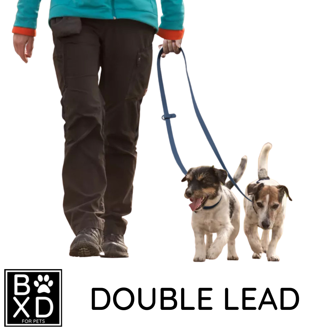 BOXD FOR PETS Multifunctional Waterproof Lead