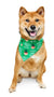 Stumpy Collective Christmas Bandana